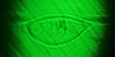 Featured image for (Confocal) Raman Microspectroscopy for the investigation of plastics and plastic welding seams