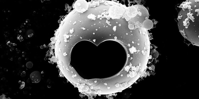 Featured image for Research Focus