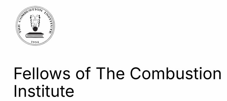 Stefan Will appointed Fellow of the Combustion Institute